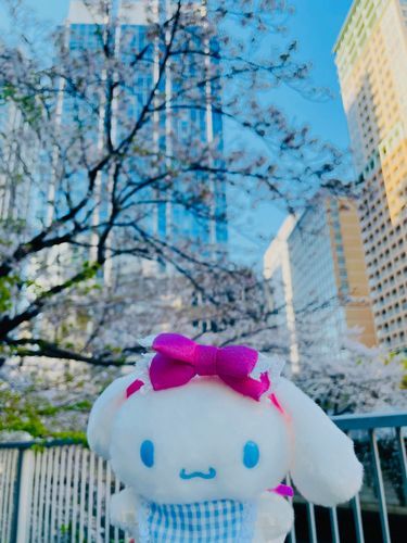 🌸お花見とお祭り行ってきたよ🌸