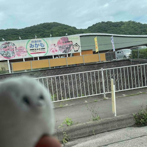 みかも