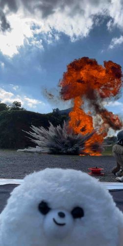 やっぱり爆発はライブだよね。