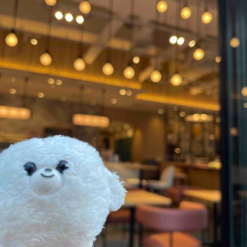 おしゃれなお店だったねぇ