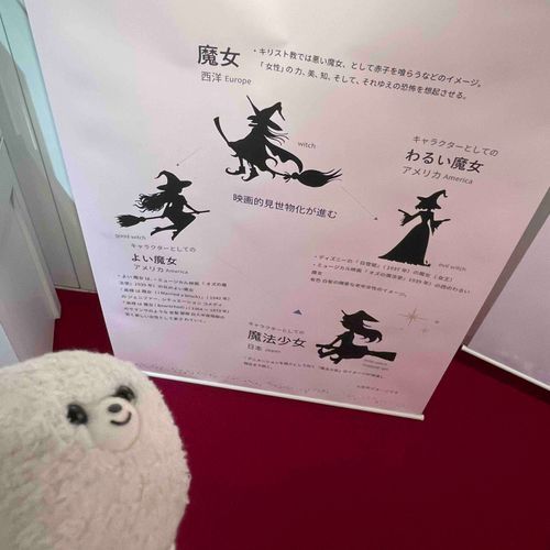 魔法少女の歴史、学んだ。
