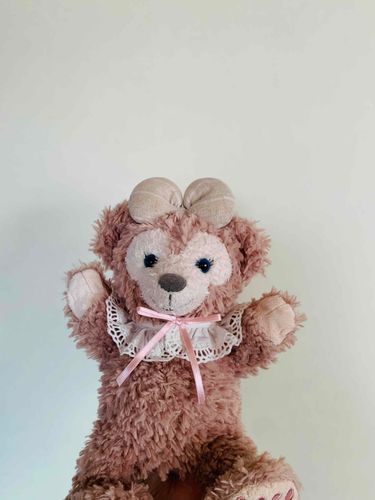 昨日行ったディズニーシーでお洋服を買ってもらったよ！
家族みーんなに「可愛いね♡」って褒められちゃった！