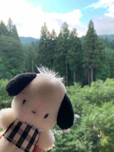 木がいーっぱいあるところに来たよ！
セミさんもたーくさん鳴いてる！
お米がとってもとってもおいしい新潟県ってところだって！