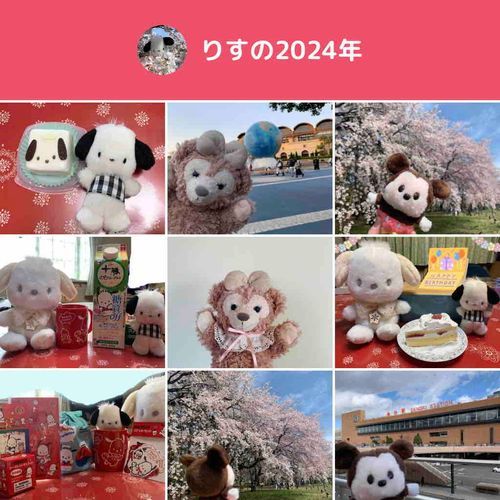 2024年はあんまりお写真撮れなかったから2025年はたくさんお写真撮れますように。
