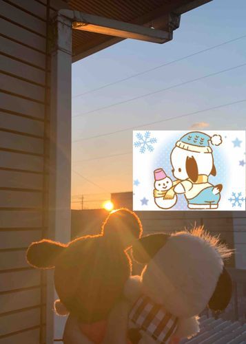 いつもお正月はおふとんにくるまってるけど今年は初日の出を見たくて早起きしたよ！

2025年もみーんなにとって良い1年になりますように☆。.:＊・゜
