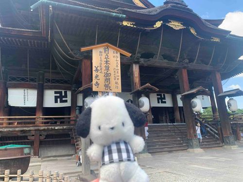 善光寺にあそびにきたよ！
とっても暑かったぁ〜

牛にひかれて善光寺参りって聞いたことあるけど…牛さんどこぉ〜？