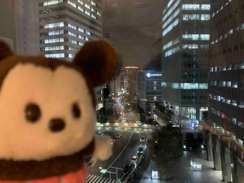 たか〜い建物がたくさんある街に来たよ！
東京にはキラキラいろいろなものがあってすごいなぁ〜✨️