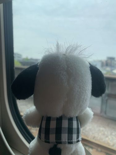 これから遠いところにおでかけするよ！
たのしみだなぁ〜