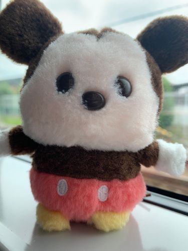 ひさしぶりにでんしゃにのって、おでかけするよ！おてんきしんぱいだけどたのしみだなぁ〜♪︎♪︎