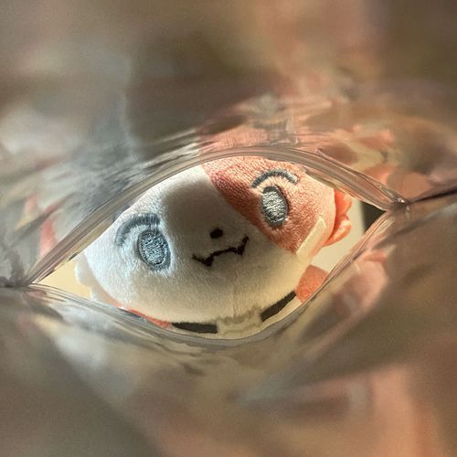 台湾在住のシャオミージュちゃん