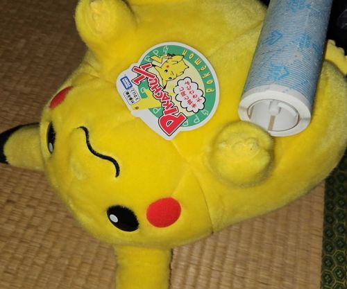 お風呂が嫌なので、コロコロしてもらいました。ちょっと痛かったです。