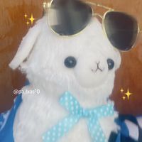パカッソ