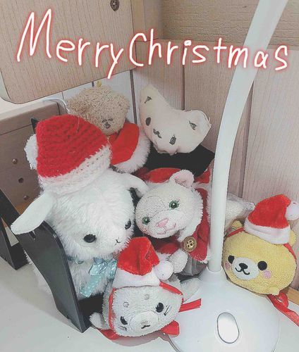 サンタさんの足音が聞こえてきた🎅💕