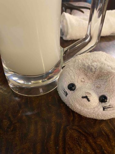 焼肉行ったっきゅよ🍖
これはカルピスソーダっきゅ！