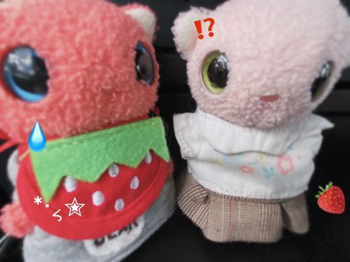 ミニ＆プチで
ドライブにでかけたよ🚗³₃