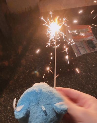 花火したぷくよ🎇
夏の思い出⟡.·*.
