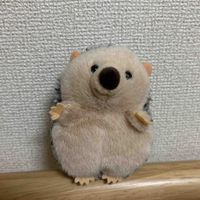 ぽちゃハリ