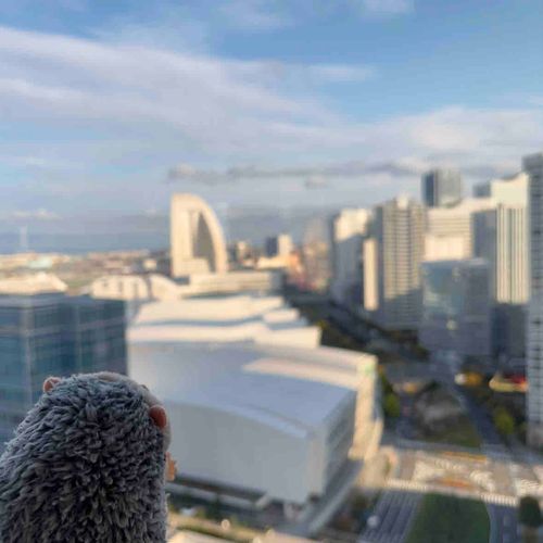 わあ～～～
絶景だなあ～～～🦔