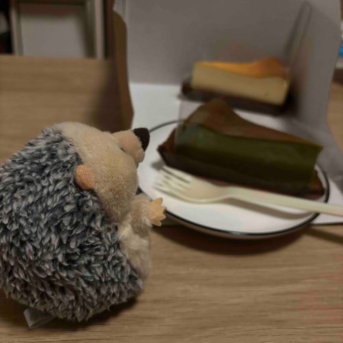 どっちにしようかな🧀