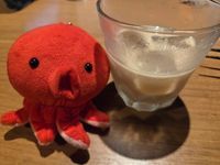 oichan🐙