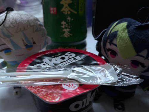 ぺぇ…

『風邪ひいたけど軽症だよ。心配してくれてありがとうね。安静にしてるよ』