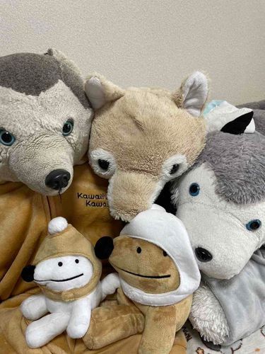 あ！ウルフくんとドッグくん！