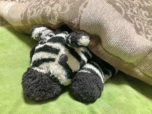 おこたの季節だ〜
ぬくぬく