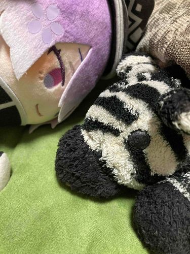 昼寝してるのバレた
風邪引くよってきよまろくんが教えてくれました〜