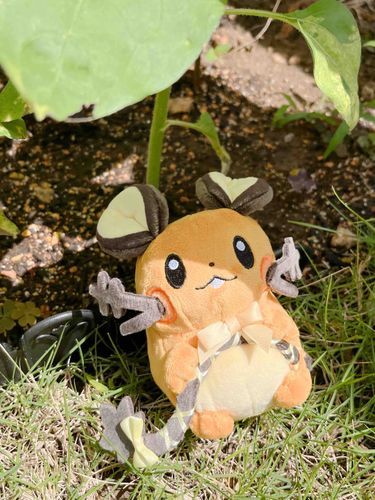 あついね〜🌻ひまわりの葉っぱの下でのんびり過ごそうね🌱☀️