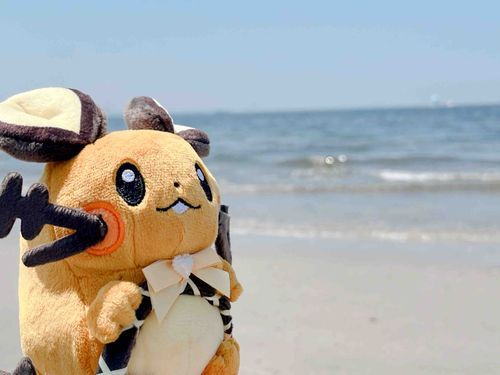 海だよ〜🏝️✨
梅雨が明けたよ☀️あついね
初めての海楽しかったね☺️