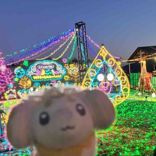 イルミネーションだよ〜✨綺麗だね！