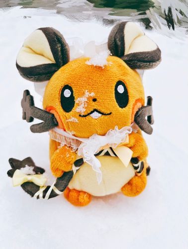 デデンネ雪だよ❄️
