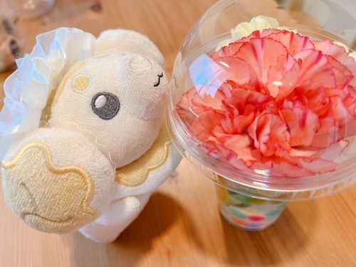 母の日だったよ〜！綺麗なお花だね❣️
初めてカーネーションいただけちゃった〜💕嬉しいな〜！！✨✨☺️