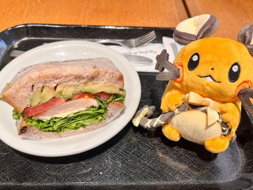 おいしいサンドイッチだよ〜！
アボカドとトマトがあるだけで美味しいの確定なんだから⭕️