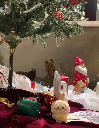 もうすぐ12月🎄