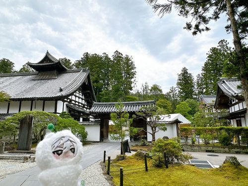 6月の仙台旅行で、松島の瑞巌寺を見に行ったよ。
やっと食べ物以外の写真があったね