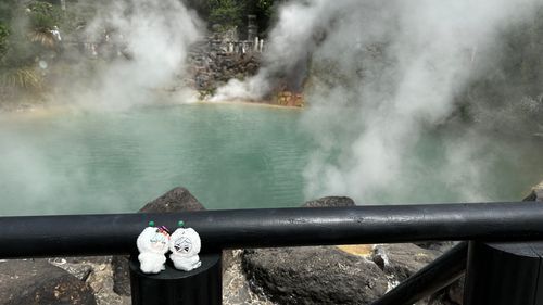 ハーモニーランドの翌日はプルシュ達と別府観光で地獄巡りに行ったよ♨️