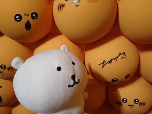 ナガノ展の写真や