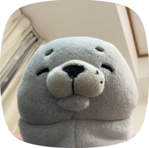 もんちゃん！もんちゃん！