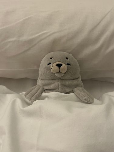 おやすみ、もんちゃん