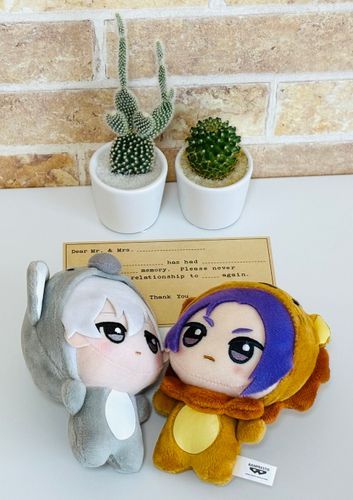 🌵、にょきにょき