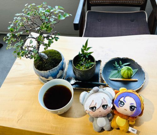 サイフォンで淹れる珈琲のカフェ