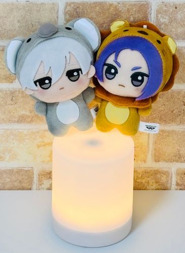 人間、間接照明を買った