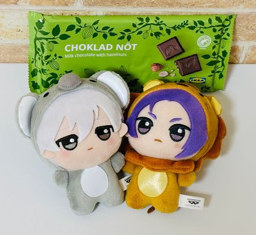 人間が買ったおやつ🍫