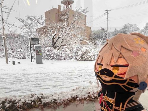 おでかけ先で今年の初雪……。