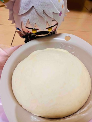 鳴狐のお供ですよぅ！
こちらは主殿のこねた、パンの赤ちゃんです！