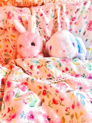 ﾋﾟﾝｸうさぎのよちです❣️みずいろうさぎの仲間ができて幸せ🩷🩵ꪔ̤૮ . . ა