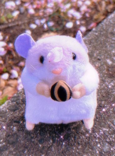 さくら おちちゃったみたいだね
