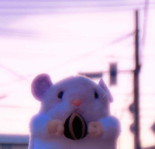 かえりみち