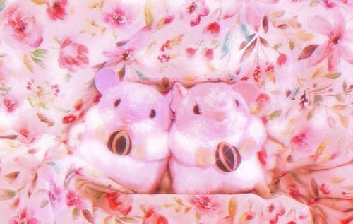 はるは、にんげんかんけいがたいへんみたい！ちゅうかわのはむかんけいは良好だけどね